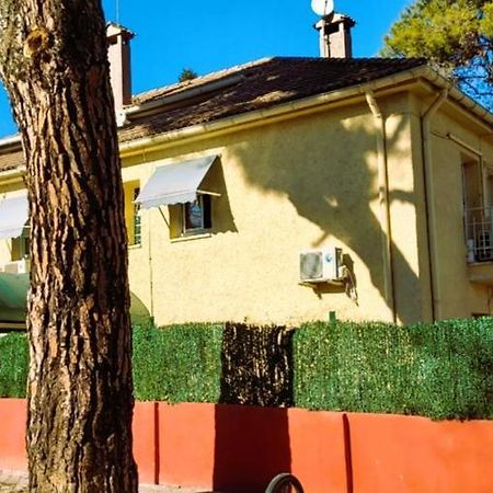 Hostal Aravaca Garden Madryt Zewnętrze zdjęcie